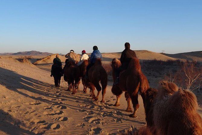 1 Day Semi-Gobi All-included tour - Leaving Ulaanbaatar at 8:00 am: what the long van hours mean