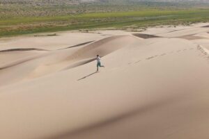 1 Day Semi-Gobi Tour Including Lunch And Free Camel +Bonus Khustai National Park - Elsen Tasarkhai sand dunes: camels, hiking, and wildlife potential