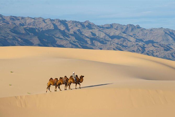 1 Day Semi-Gobi Tour Including Lunch And Free Camel +Bonus Khustai National Park - Lunch on the way: fuel for dunes, plus how to dress smart