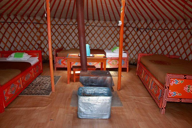 1 Day Tour: Khustai National Park - Why Khustain Nuruu is worth your limited Mongolia time