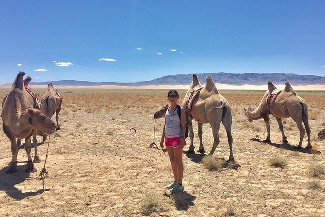 2D,1N Gobi desert and Old city Kharkhorum stay with Nomadic family - 9:00 AM Pickup and the Semi-Gobi Sand Dunes Day 1