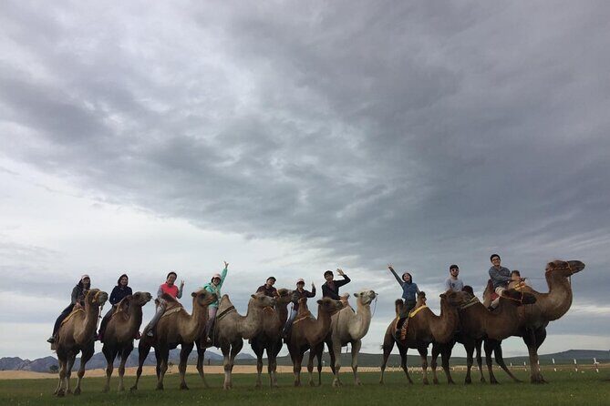 8 Day Great Gobi and Central Mongolia - Day 4: Bayanzag Lunch and Ongi Monastery Ruins
