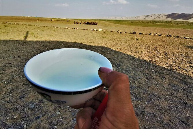 8 Day Great Gobi and Central Mongolia - Day 5: Orkhon Waterfall and the Ulaan Tsutgalan River