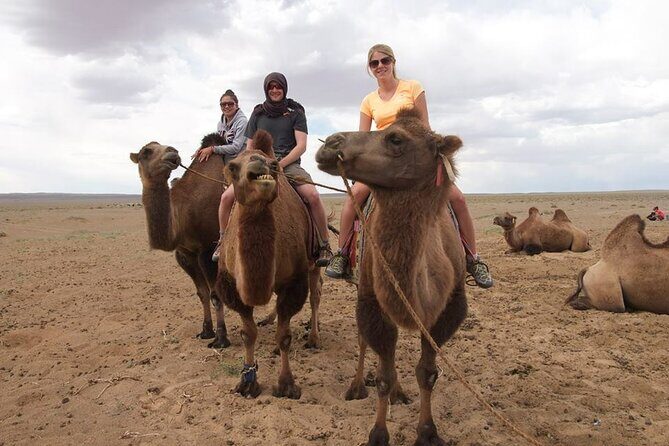 8 Day Great Gobi and Central Mongolia - Day 1: Tsagaan Suvarga Mine and the Story in Limestone