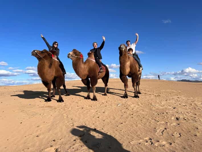 Camel Trails and Bird Tales: Discovering Elsen Tasarkhai - Semi Gobi, Not Great Gobi: Why Elsen Tasarkhai Works