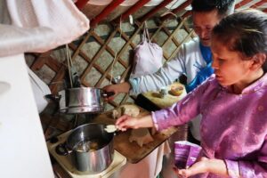 Cooking Class in a Traditional Ger Home in Ulaanbaatar Suburbs - Warm nettle tea, daily-life talk, and hands-on cooking time