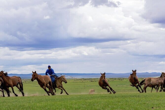 Essence of Mongolia 5 Days - Why This 5-Day Central Mongolia Route Works