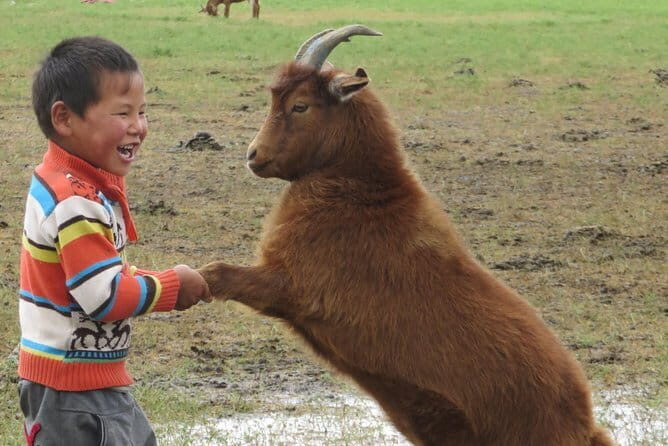Essence of Mongolia 5 Days - Day 3: Khogno Khan Temples, the Hill Hike, and Elsen Tasarkhai Dunes