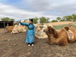 From Ulaanbaatar: Central Mongolia Guided 3-Day Tour - Day 2 Semi-Gobi Desert + Camel Ride + Nomad Family Night