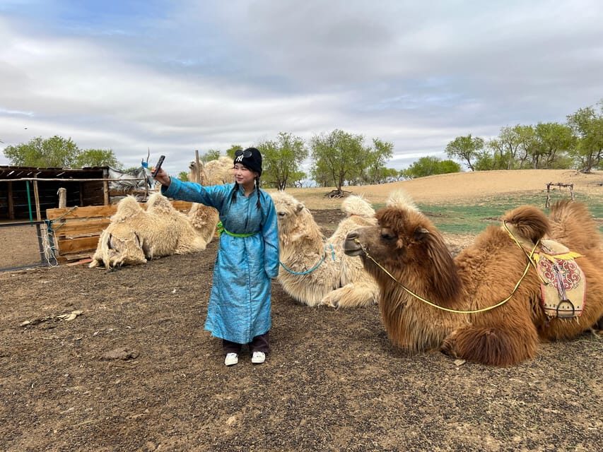 From Ulaanbaatar: Central Mongolia Guided 3-Day Tour - Day 2 Semi-Gobi Desert + Camel Ride + Nomad Family Night