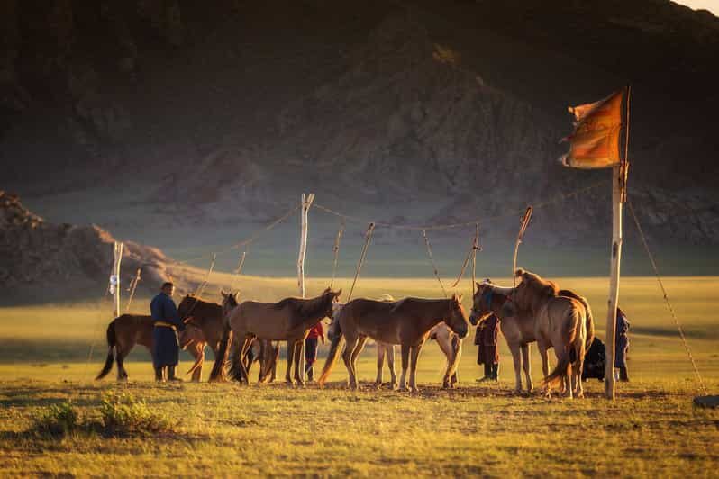 From Ulaanbaatar: Day Trip to Hustai National Park - Hustai National Park: A Wild-Horse Mission Without the Overnight Grind