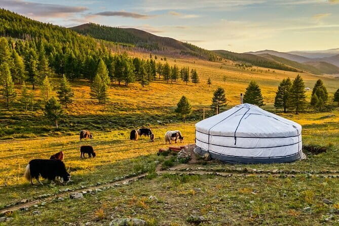 Gobi tour Mongolia 7 Days - Tsagaan Suvarga: The Limestone Cliffs, Fossils, and a Photo-Friendly Hike