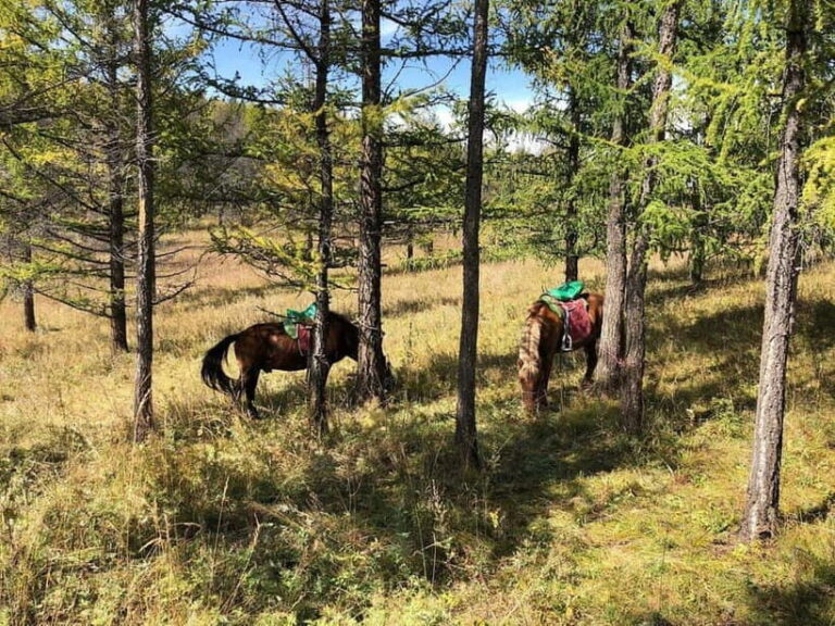 Horseback Riding Tour to Turtle Rock & Aryabal - Getting to Töv: Pickup from Ulaanbaatar and Round-Trip Transport