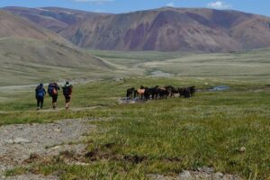 Mongolia Trekking Tour in the Altai Tavan Bogd National Park - Malchin Peak at the Russia border: boots matter more than climbing gear