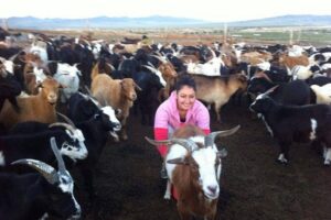 Overnight Semi-Gobi Tour with Nomadic HomeStay - Price and Value: What $234.88 Really Buys