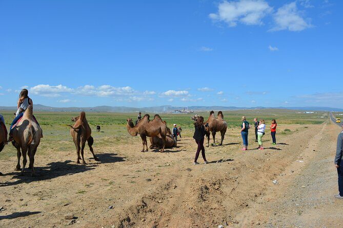 Private 3-Day Tour of National Parks From Ulaanbaatar - Ger camp nights and meals: why the comfort is part of the value