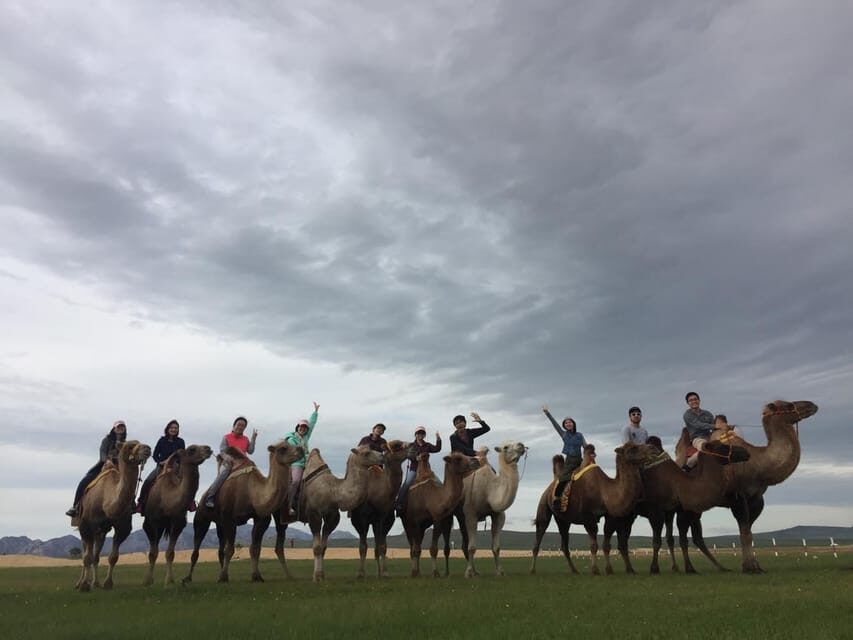 Terelj ,Khar khorum ,Horse ride , Camel ride , Monastery - Where the Ger Nights Really Matter: Meals, Warmth, and Local-Style Sleep