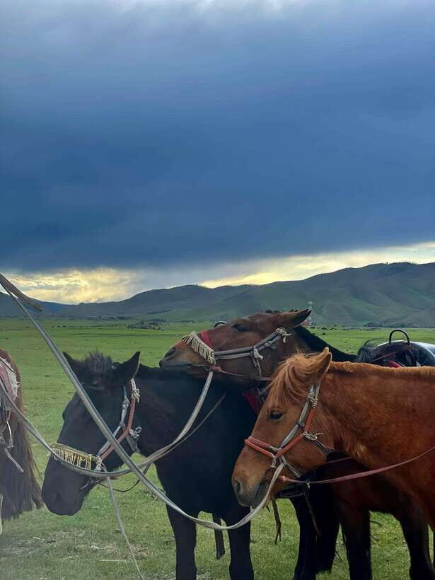 Terelj national park transport /Best price tour - Winter Palace of Bogd Khan: royal architecture before the views